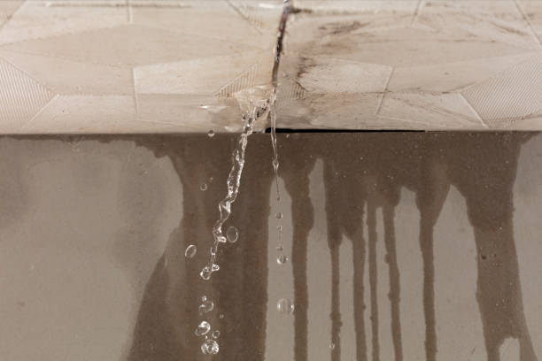 Professional Structural Drying technician working in Kerens, TX
